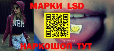 винт Донецк