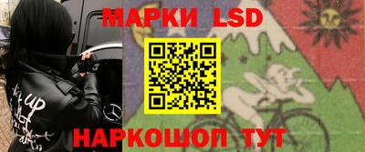 винт Донецк