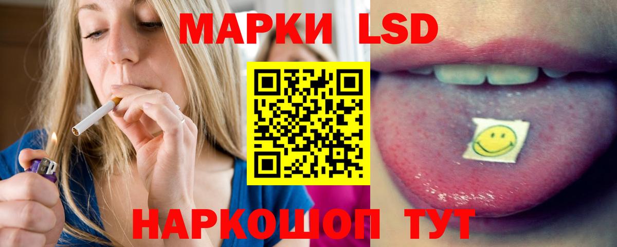 ЛСД экстази ecstasy  Вход с VPN  Курчалой  ЛСД экстази ecstasy 
